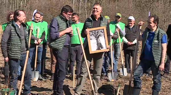 iohannis a plantat un stejar a primit un tablou surpriza