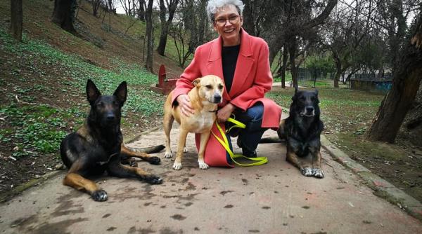 oana pellea in mijloc e sisi catelusa cristinei topescu va rog seriozitate si share