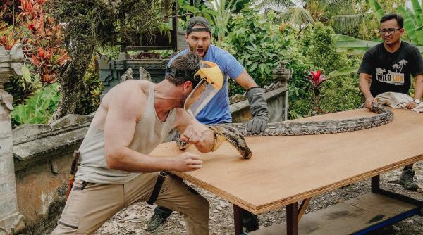 regii durerii un nou documentar transmis de history