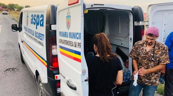 aspa poate prelua animalele de companie ale bucurestenilor infectati cu noul coronavirus