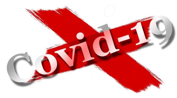 a fost confirmat primul caz de coronavirus din groenlanda