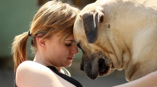 covid 19 persoanele infectate trebuie sa evite contactul cu animalele