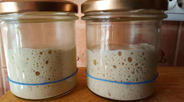 cum faci maia naturala de casa reteta de drojdie salbatica