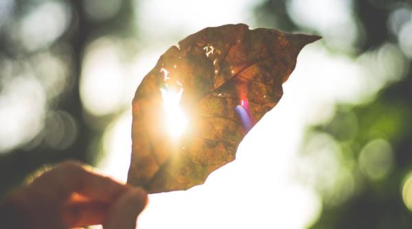 voropchievici atunci esti mai protejat ai ceva divin in tine
