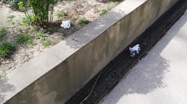 motivul pentru care aceste manusi sunt aruncate in parc