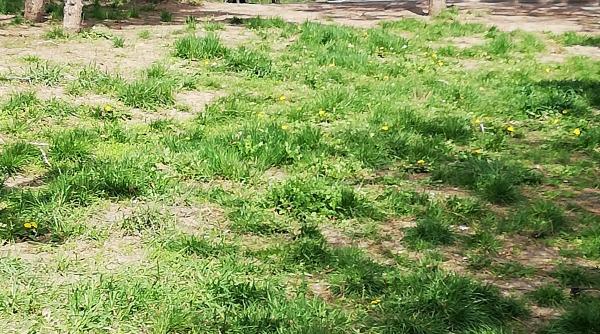 o fata de 27 de ani a murit ce faceau cei doi tineri inainte