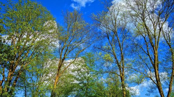 prognoze meteo eliminate de anm  elena mateescu  motivul pentru care am renuntat