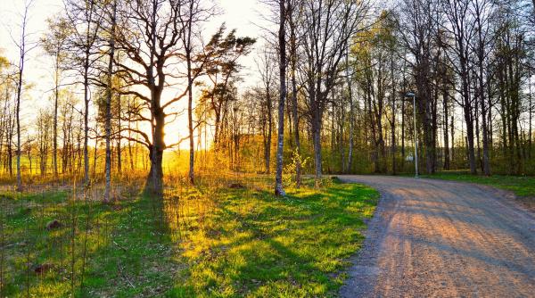 anm prognoza meteo cum va fi vremea in urmatoarele doua saptamani