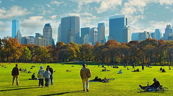 coronavirus spital de campanie in central park in new york