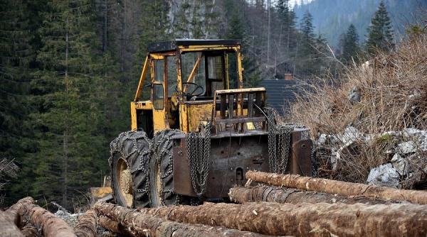 ministerul mediului decizie privind firmele care taie ilegal lemn