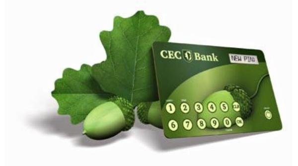 facilitate de la cec bank pentru plata taxelor si impozitelor