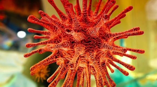 legatura dintre votca si coronavirus guvernul de la moscova avertizeaza