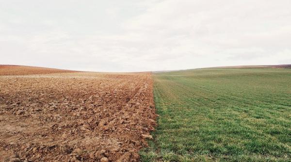 prognoza agrometeorologica seceta pe zone extinse culturile afectate