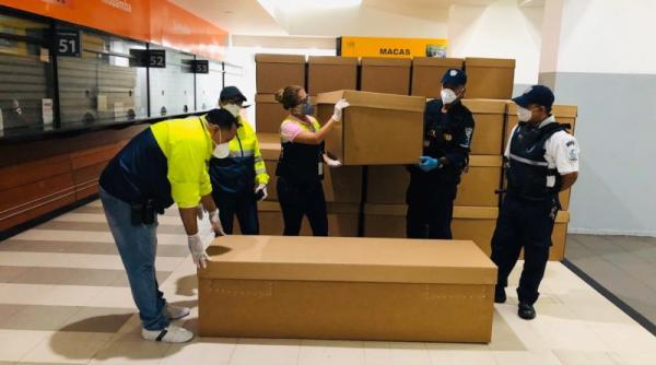 covid 19 sicrie din carton pentru victimele pandemiei