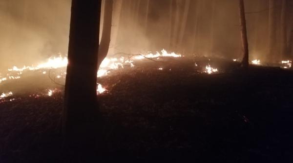 hectare de litiera de padure in flacari zeci de pompieri intervin