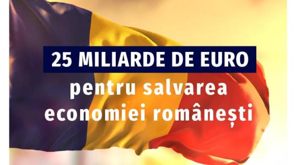 proiect de tara ilan laufer 25 de miliarde de euro pentru salvarea economiei