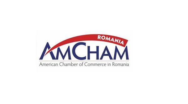 amcham romania educatia online trebuie sa devina component permanent al sistemului