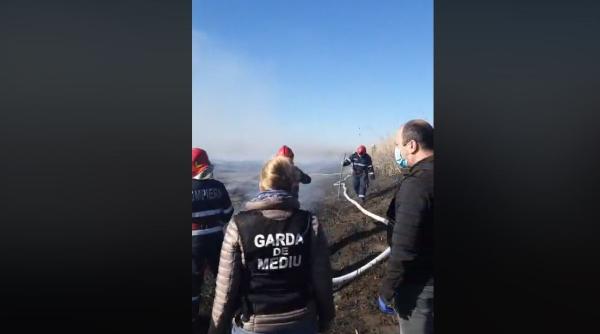 garda de mediu alaturi de igsu la incendiul produs la fosta ferma din peris video