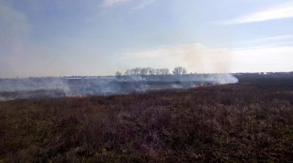 poluare masiva langa capitala  plangere penala si amenda de 115 000 lei