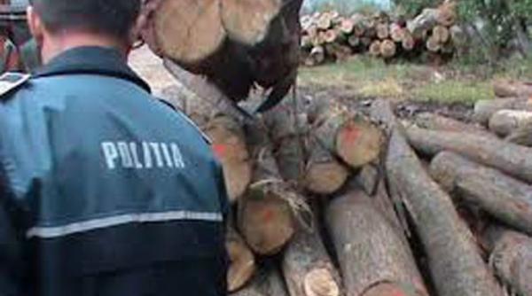 csm aviz negativ proiectului de lege depus de usr pentru infiintarea unui dna al padurilor si mediului