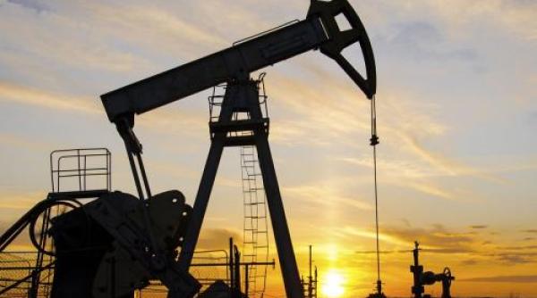 donald trump tarile producatoare de petrol aproape de un acord privind pretul