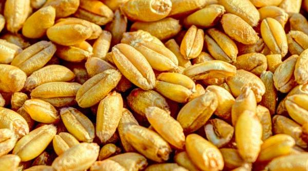 lista completa a produselor agroalimentare care nu pot fi exportate