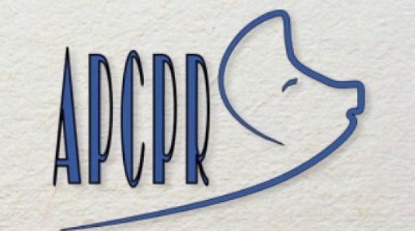 producatorii de carne de porc catre orban s o faceti in cel mai scurt timp