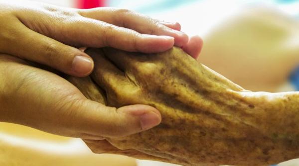 azilurile de batrani europene procent incredibil al mortilor datele sunt socante