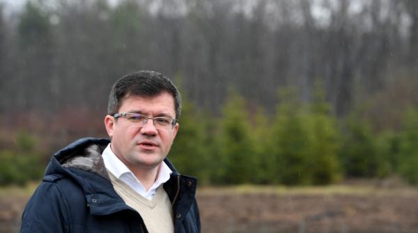 costel alexe taierile ilegale de padure fake news