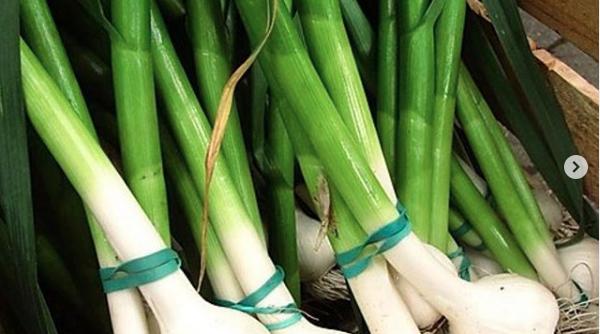 nutritionistul mihaela bilic ceapa si usturoi pentru gust sanatate si silueta