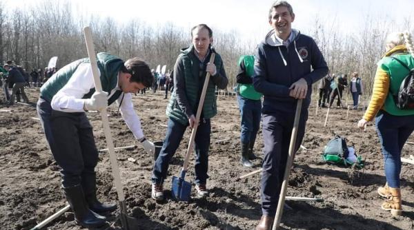 vinovatii pentru esecul imm invest cine sunt responsabili de blocajul total