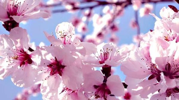 vremea de pasti cand vor reveni ploile lapovita si ninsorile