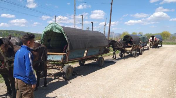 convoi de carute  oprit de jandarmii din alba  amenda primita pentru incalcarea ordonantei