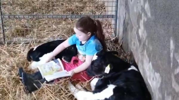 alde sibiu n avem wc uri in casa si apa curenta dar facem cursuri on line