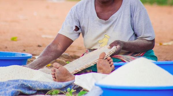 lumea risca foamete de proportii biblice avertizeaza onu