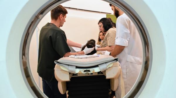 scandal intre cercetatori cat de eficienta este radiografia ct in depistarea covid 19