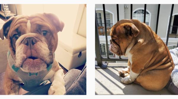 big poopa este foarte trist din cauza covid 19 i a rapit cel mai fericit moment