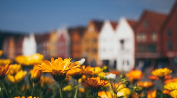 ce numar ai la casa apartament afla de la un numerolog ce reprezinta sigur nu stiai