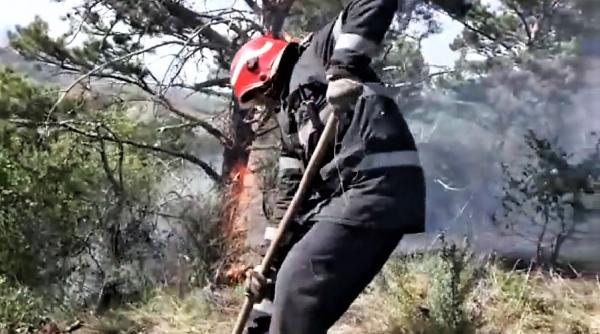 incendiu urias in buzau zeci de hectare de vegetatie in flacari