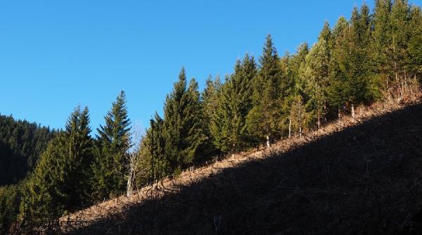 cum vor arata concediile dupa 15 mai explozie de vanzari la un obiect pentru vacanta