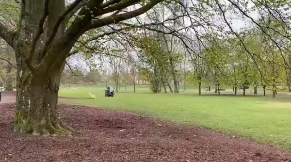 cum au reusit suedezii sa tina oamenii in casa fara amenzi