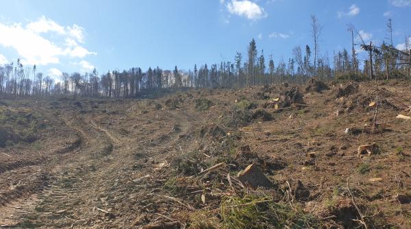 defrisari ilegale comisarul pentru mediu virginijus sinkevi ius pentru dcnews ce a discutat cu ministrul alexe saptamana trecuta termen limita pentru romania