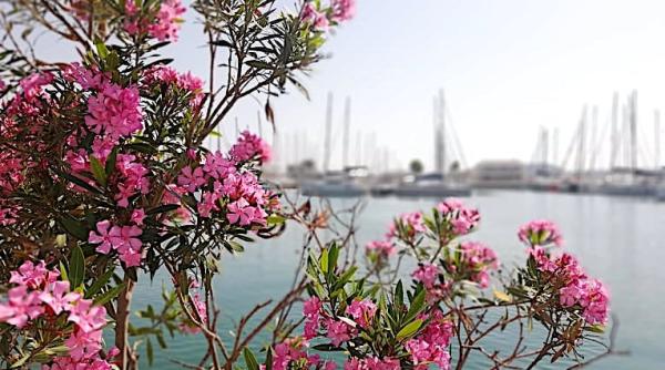 se redeschide grecia dupa 4 mai ce va fi permis si ce nu