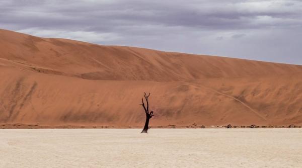 miliarde de oameni nevoite sa traiasca in caldura extrema proiectiile specialistilor