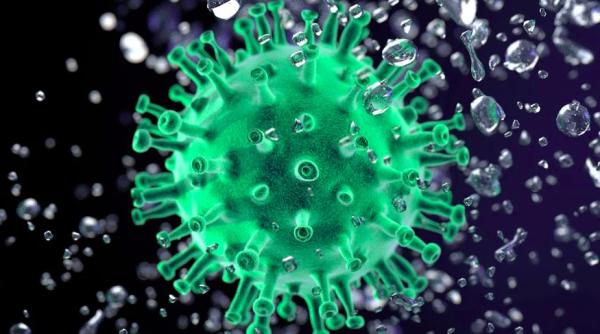 testele de anticorpi la coronavirus solutie pentru redeschiderea firmelor un expert international explica