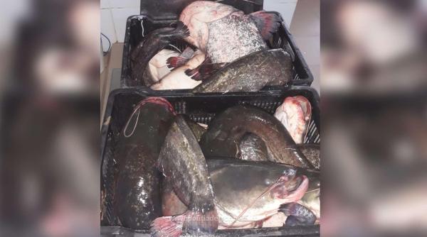 politist la un pas de moarte  a fost tarat prin apa cu barca de braconieri