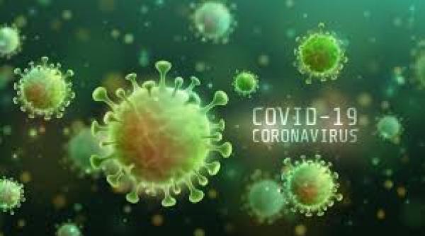 coronavirus sua numarul deceselor a ajuns 80 000