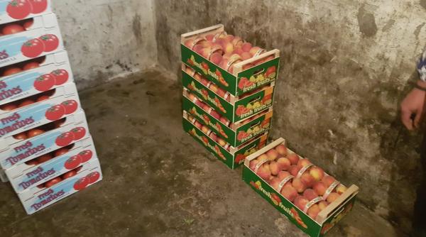 alimente tinute intr o mizerie de nedescris  doua piete au fost inchise  control de amploare al anpc   video