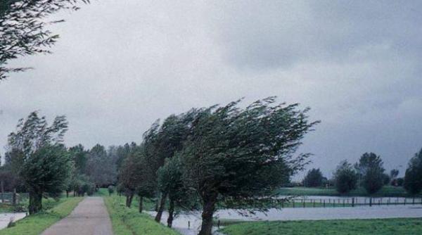 cod galben de vijelii in aproape toata tara