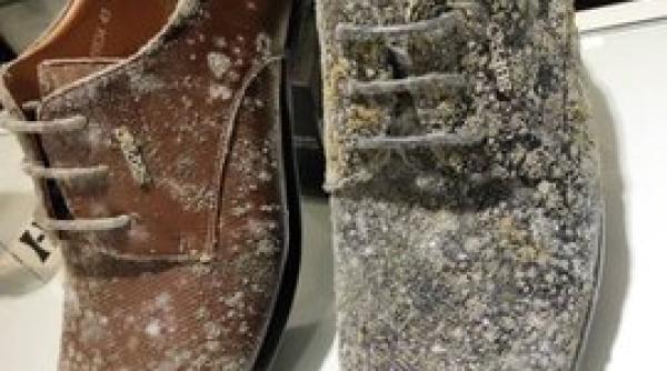 pantofi genti si curele cuprinse de mucegai in mall angajatii au ramas socati